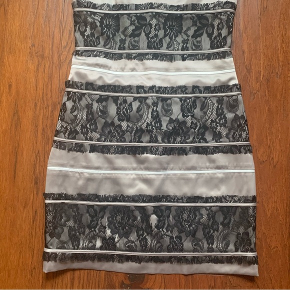 🌈 BCBG Lace Stripe Dress in Warm Grey | Size 6 - Picture 4 of 9